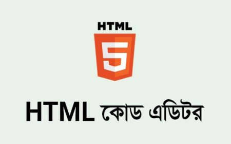 Best HTML Editor for Beginer